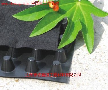 定西玻纖土工格柵廠家深度解析 產品圖與樣板圖展示